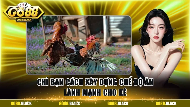 Chỉ bạn cách xây dựng chế độ ăn lành mạnh cho kê