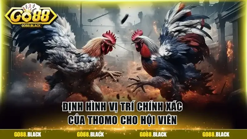 Định hình vị trí chính xác của Thomo cho hội viên