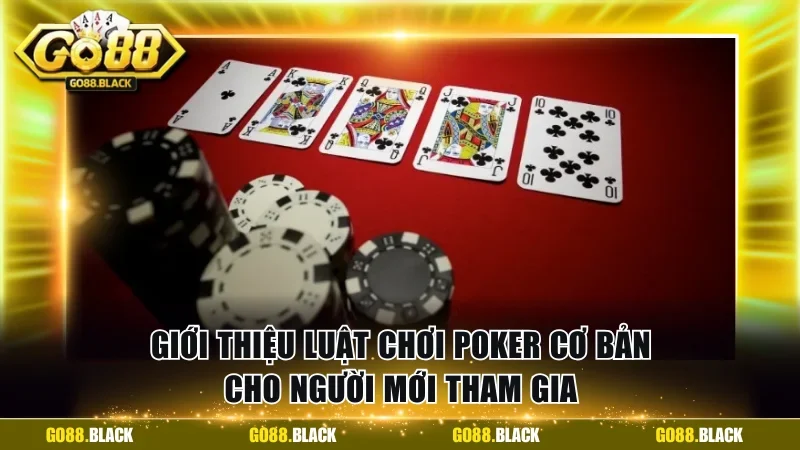 Giới thiệu luật chơi Poker cơ bản cho người mới tham gia