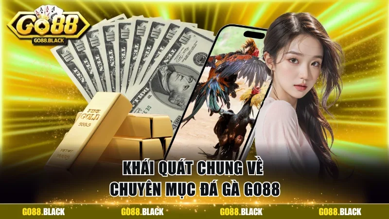 Khái quát chung về chuyên mục đá gà GO88