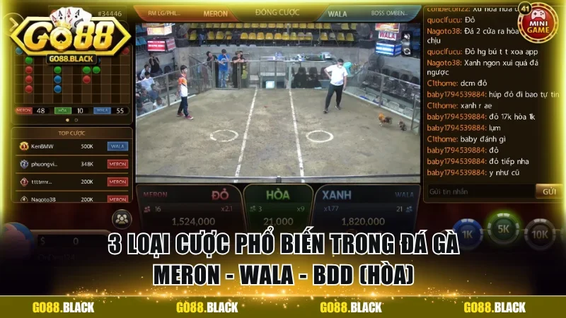 Luật đá gà quy định 3 loại cược phổ biến