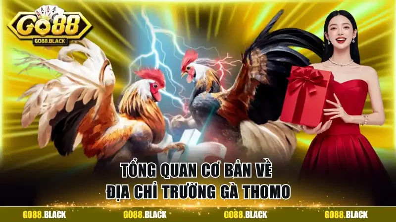 Tổng quan cơ bản về địa chỉ trường gà Thomo